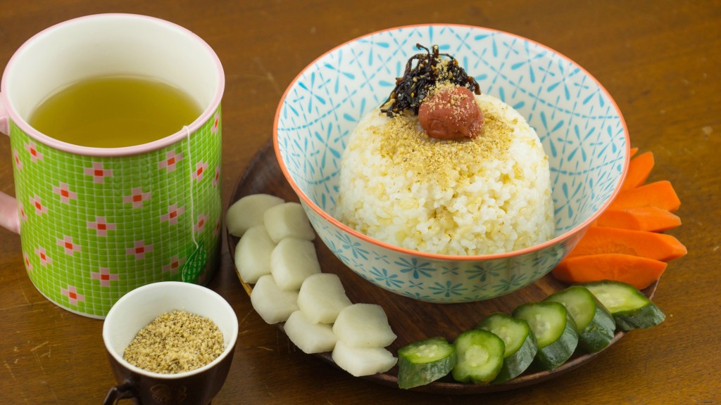 Ochazuke (Green Tea over Rice) with Gomashio (Sesame Sea Salt) ~ Easy and delicious home-style Japanese recipe! #japan #japanesefood #recipe
