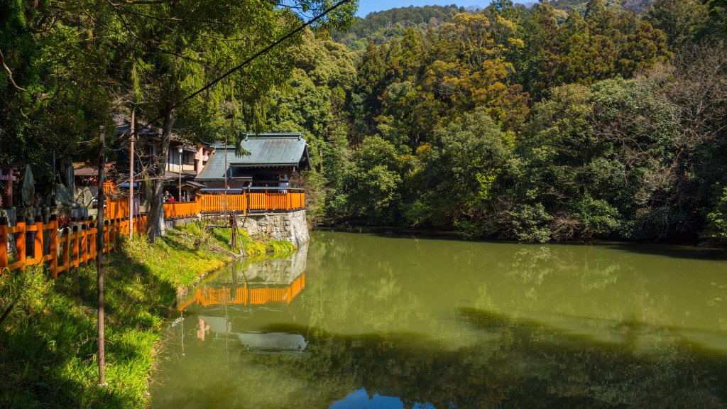 lake at Fushimi Inari Taisha, Kyoto, Japan | cultivatorkitchen.com