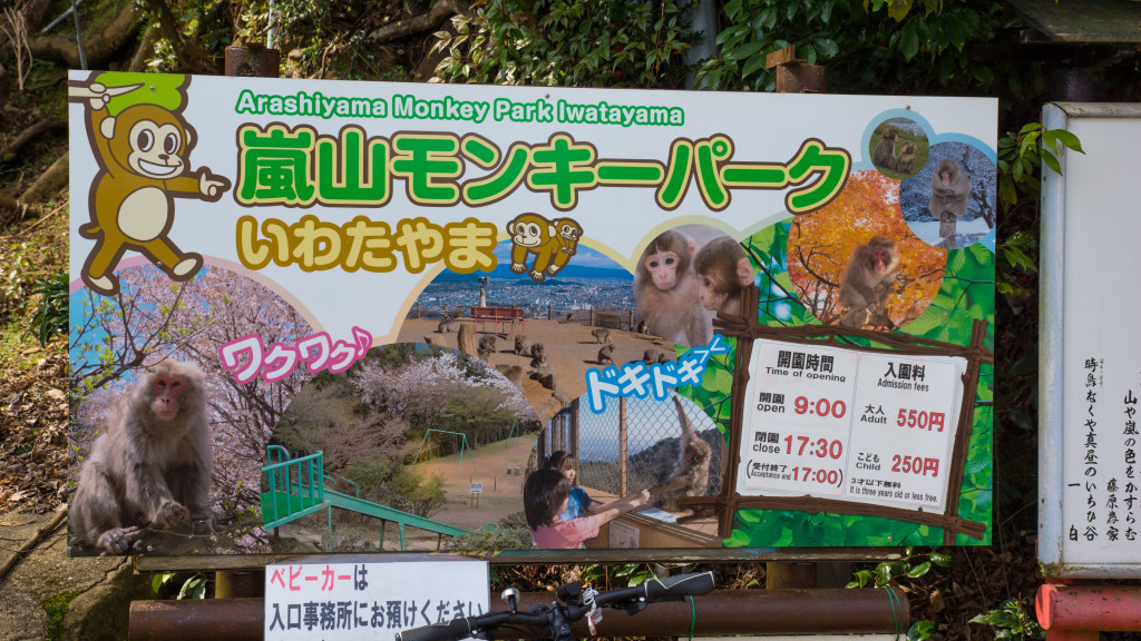 Monkey Park in Arashiyama, Kyoto, Japan | cultivatorkitchen.com