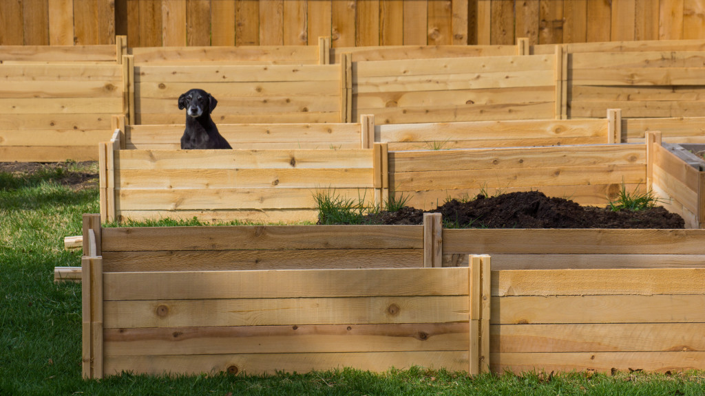 How To Make Raised Garden Beds from Kits (No Tools!) | cultivatorkitchen.com