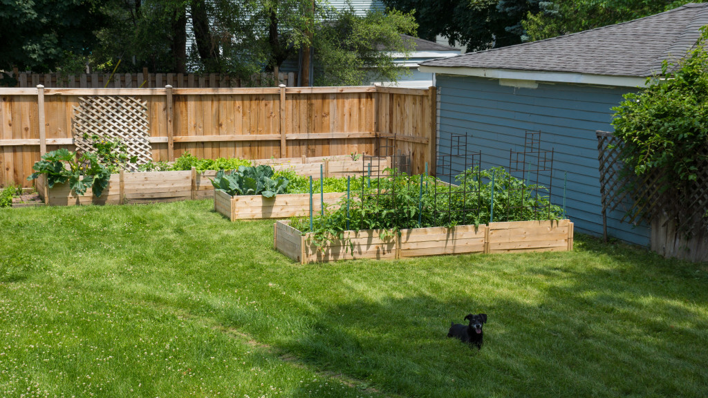 How To Make Raised Garden Beds from Kits (No Tools!) | cultivatorkitchen.com