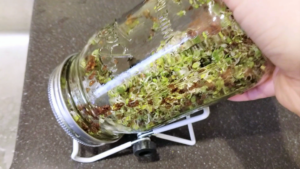 How to Make Sprouts in a Mason Jar | Zero Waste & Raw Vegan | Cultivator Kitchen