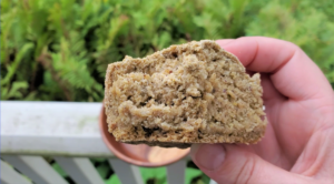 Gluten-Free Yeast-Free Oil-Free Vegan Oat Bread! No Knead & No Rise | Cultivator Kitchen