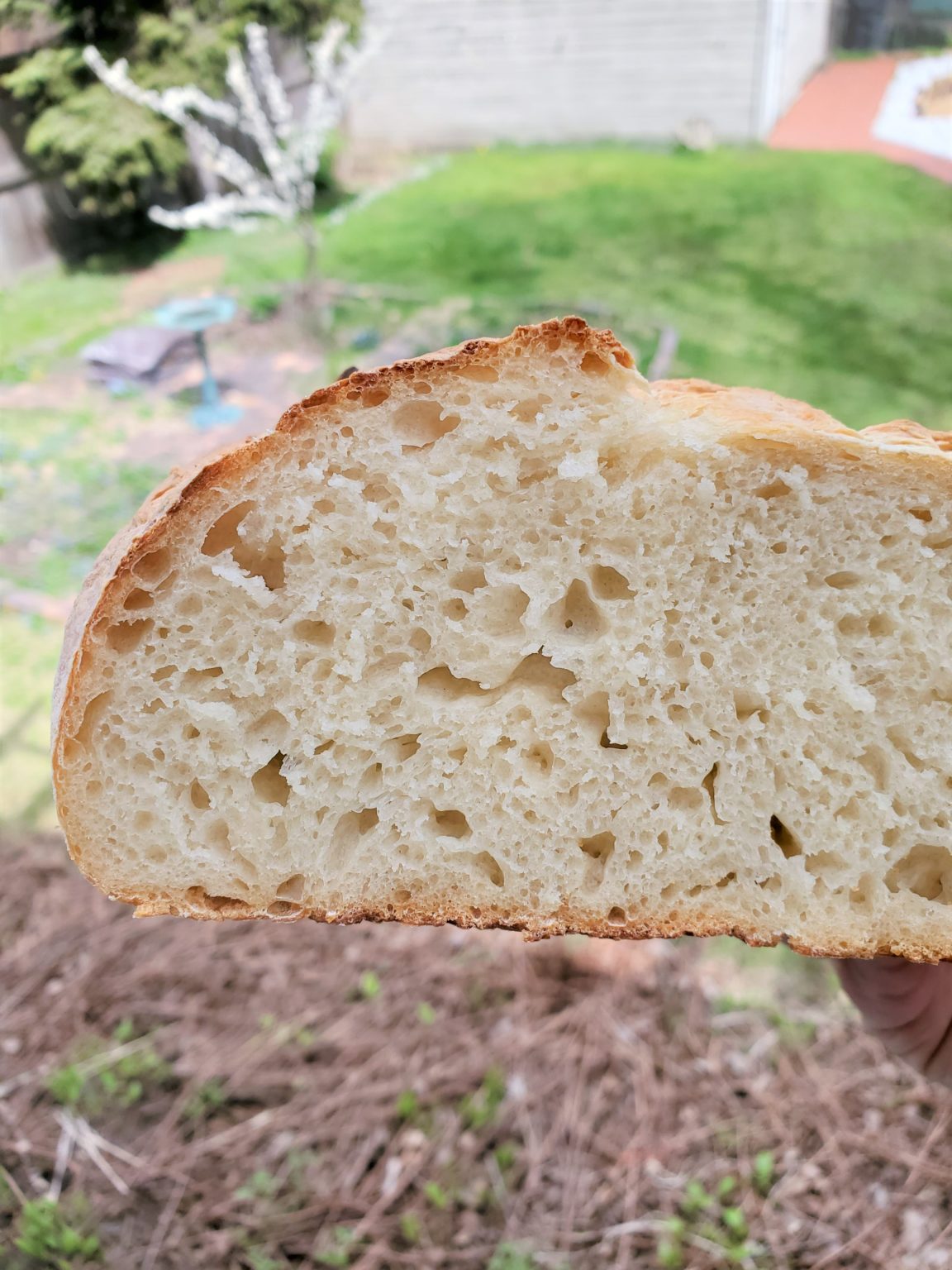 EASY Sourdough Bread! No Kneading & No Equipment Cultivator Kitchen