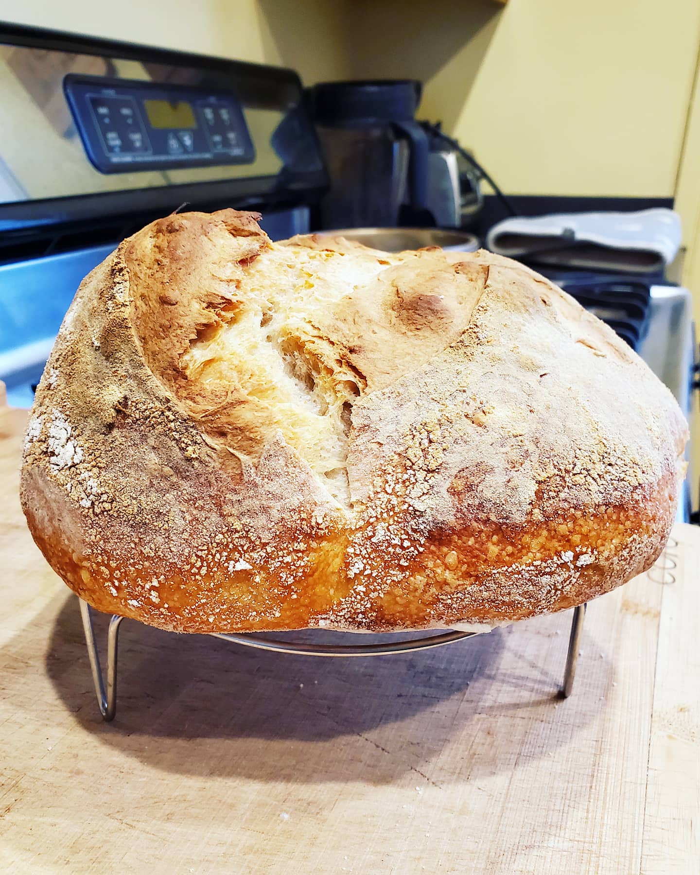 Cheaters No Knead Dutch Oven Sourdough Bread., Recipe