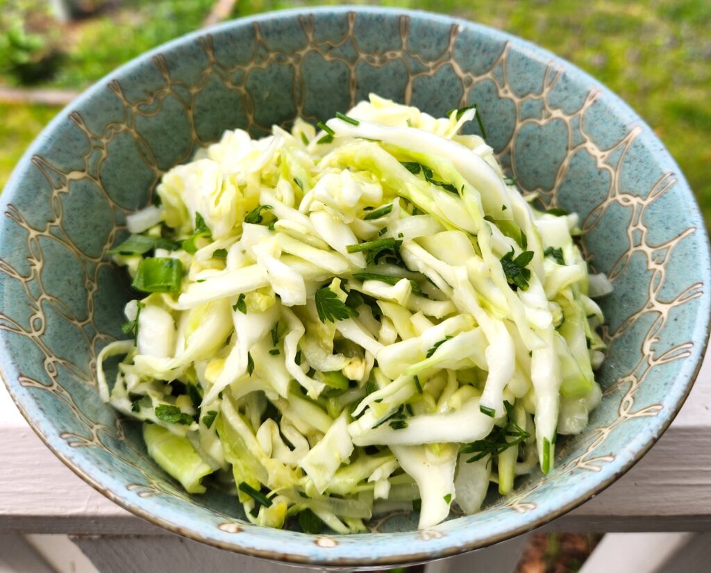 Lahanosalata 🥬 Greek Cabbage Salad! Vegan GF Raw
